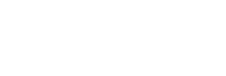 樂遊人新聯華國際旅行社